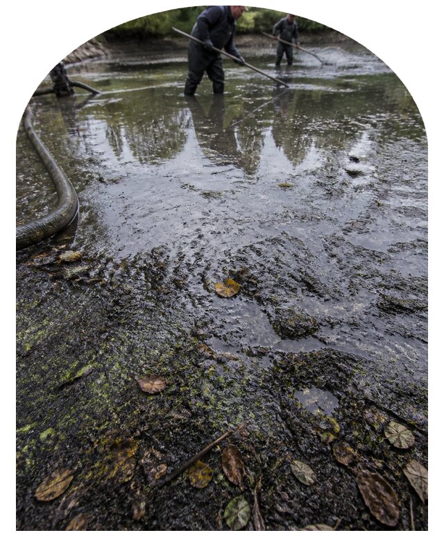 Очистка пруда в Шатуре от ила мусора и водорослей с вывозом
